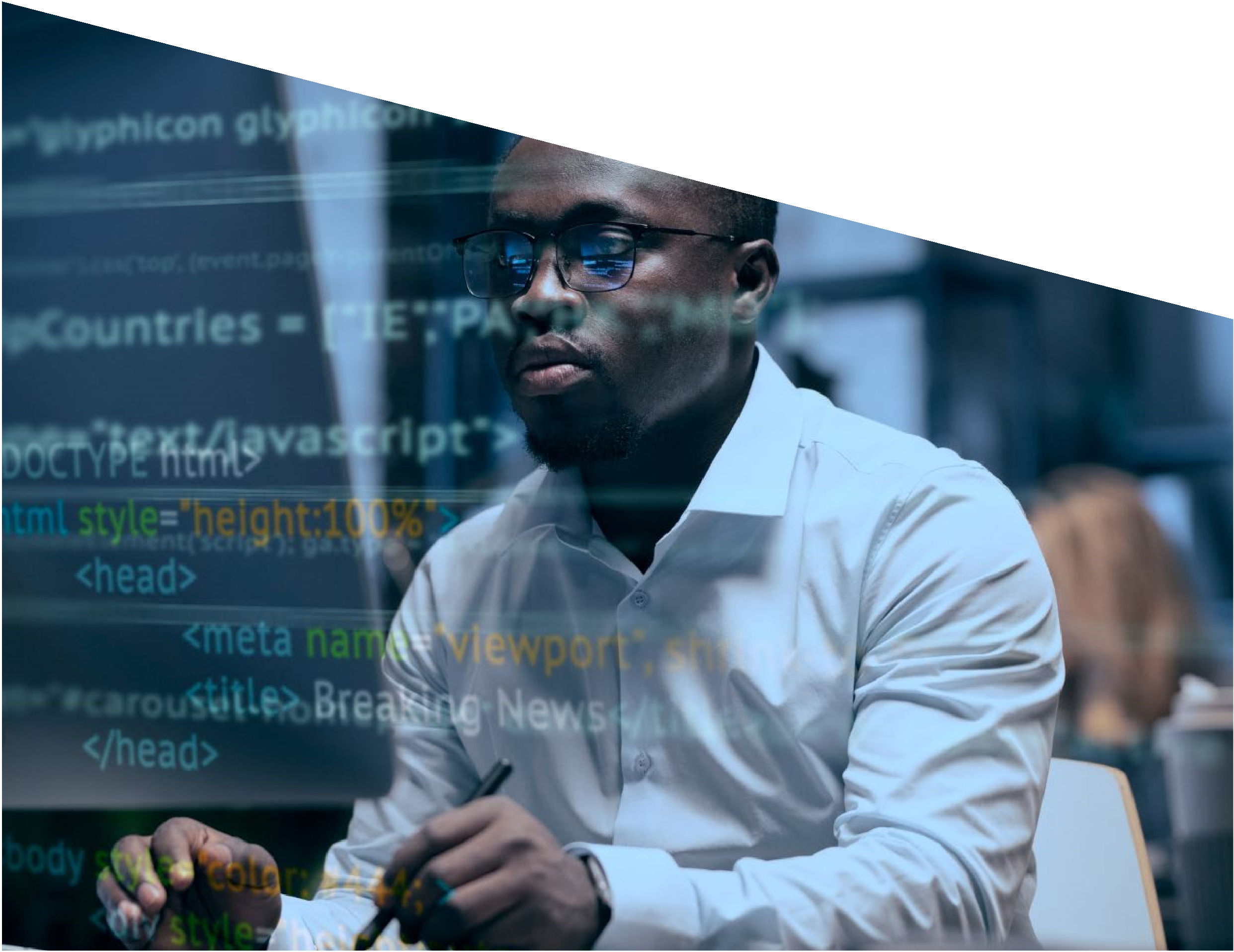 Analyst reviewing software code and data